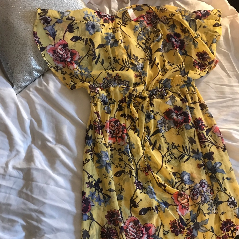 Beautiful dress covers